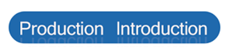 production introduction' introduction продукции