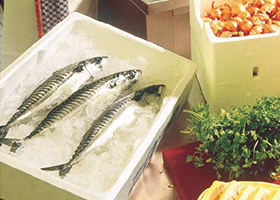 Контейнер для хранения рыбы